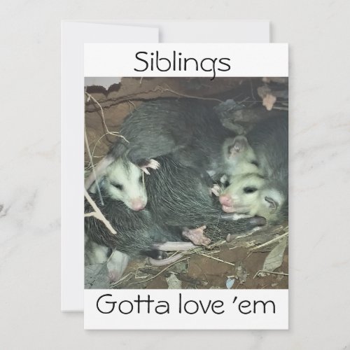 Funny Possum Siblings Holiday Card