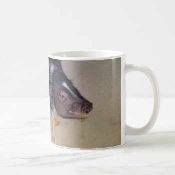 Funny Pot Bellied Pig Photography Mug by patcallum at Zazzle