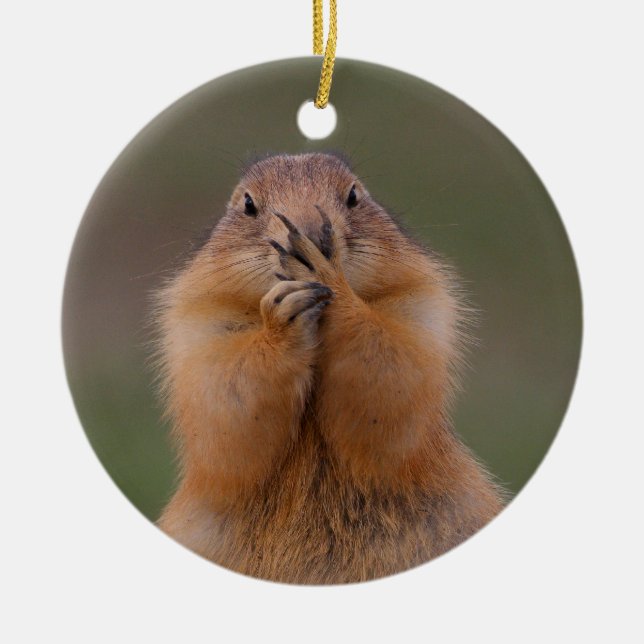 funny prairie dog ceramic ornament (Front)