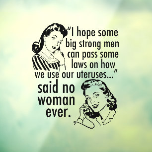 Funny Pro Choice Feminist Political Cartoon Window Cling