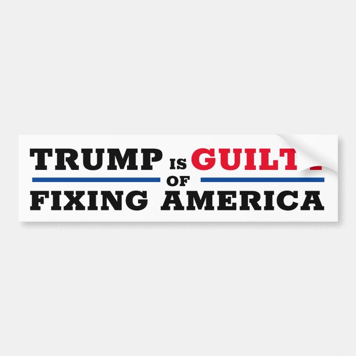 Funny Pro Trump Anti Impeachment Bumper Sticker | Zazzle.com