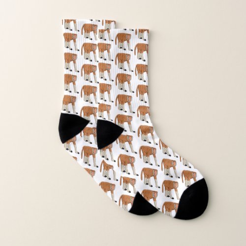 Funny proboscis monkey cartoon illustration socks