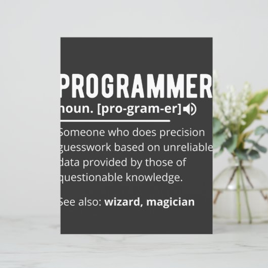 Funny Programmer Code Developer Meaning Definition (Standing Front)