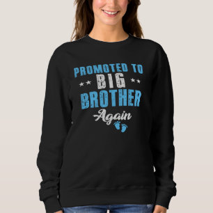 Funny Promoted To Big Bro Vintage Leveled Up To Bi Sweatshirt