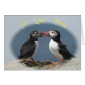 Funny puffins (Front Horizontal)