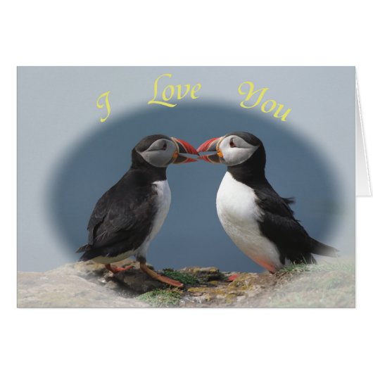 Funny puffins cards (Front Horizontal)