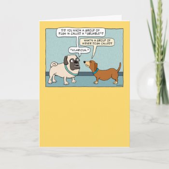 Funny Pug And Dachshund Birthday Card by chuckink at Zazzle