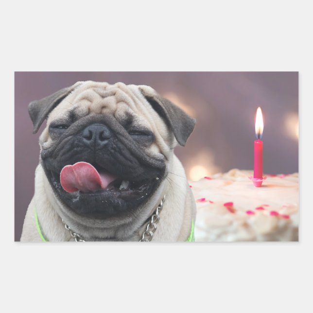 Funny pug birthday party rectangular sticker (Front)
