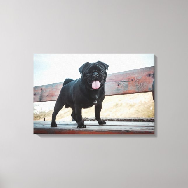 Funny pug dog canvas print (Front)