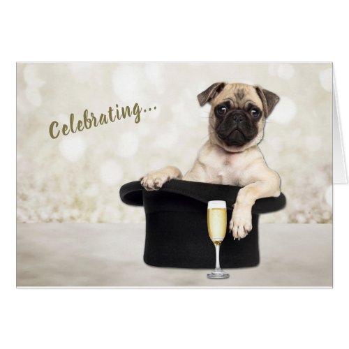Funny Pug Dog Celebrating Birthday Card