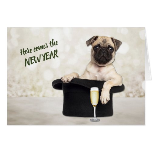 Funny Pug Dog in Style New Years Card