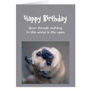Funny Pug Dog Social Distancing Birthday Cards