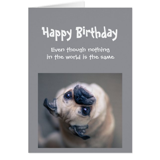 Funny Pug Dog Social Distancing Birthday Cards (Front)