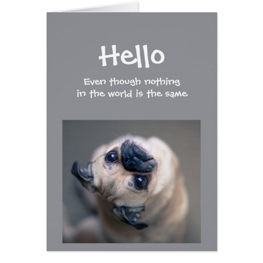 Funny Pug Dog Social Distancing Hello Hi Cards (Front)