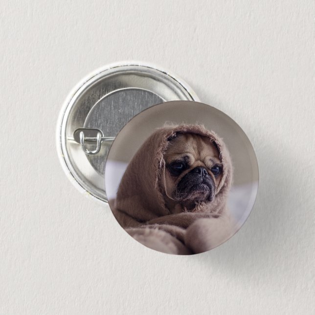 Funny Pug Dog Wrapped in a Scarf Button (Front & Back)