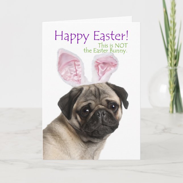 Funny Pug Easter Card (Front)