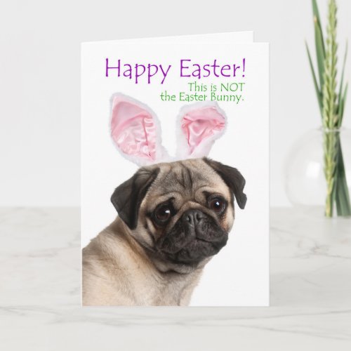 Funny Pug Easter Card