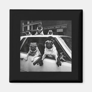 Funny pug meme pug gangster dog street style magnet