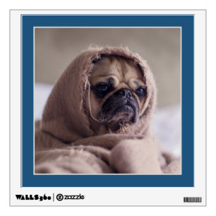 Funny Pug or YOUR Photo custom wall decal
