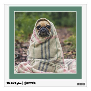 Funny Pug or YOUR Photo custom wall decal