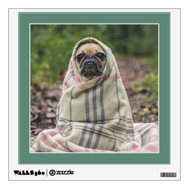 Funny Pug or YOUR Photo custom wall decal (Front)
