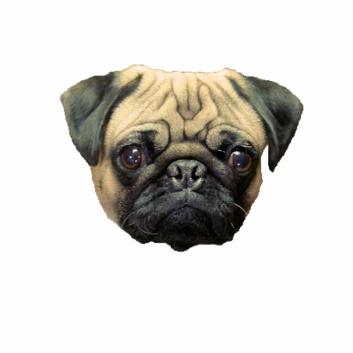 Funny Pug Photo Sculpture Keychain