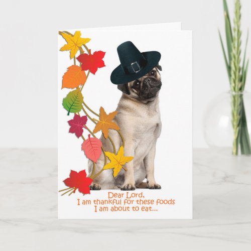 Funny Pug Thanksgiving Card