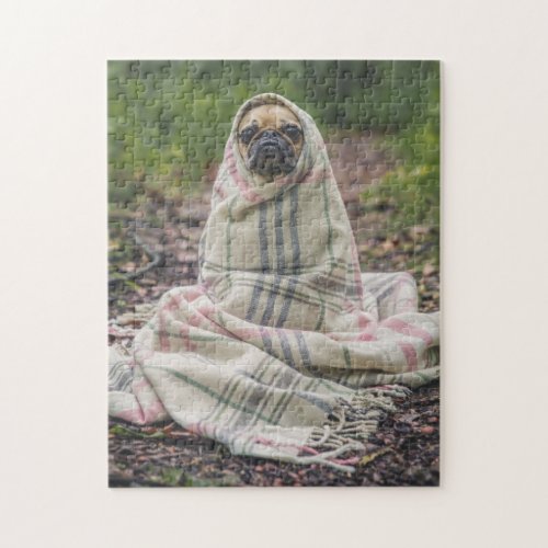 Funny Pug Wrapped in Blanket Jigsaw Puzzle