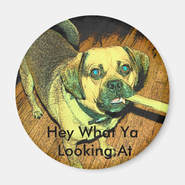 Funny Puggle Dog Magnet (Front)