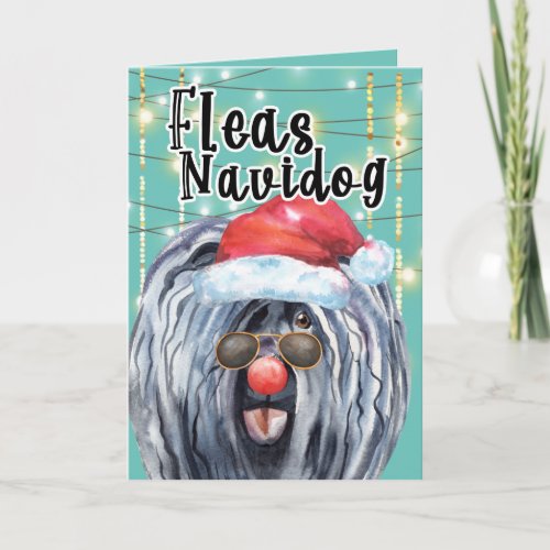 Funny Puli Christmas dog in lights fleas navidog Card