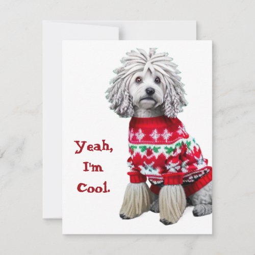 Funny Puli in Christmas Sweater Holiday Card