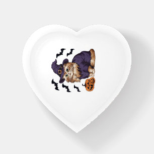 Funny Pumpkin Bat Witch Costume Persian Cat Hallow Paperweight