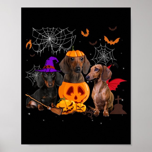 Funny Pumpkin Witch Dachshund Matching Dog Poster (Front)