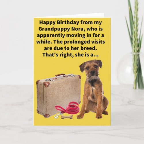 Funny Pun Boarder Terrier Happy Birthday Card