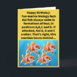 Funny Pun D Koi Happy Birthday Card<br><div class="desc">There is no need to be coy about this informative birthday card. Thanks to family friend Melissa Lotz, who periodically sends me puns from her high school math students! Some people may not appreciate a good koi pun, but who gives a carp what those haters think? By the way, would...</div>