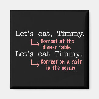 Funny Punctuation Grammar Lovers Timmy Humor Magnet