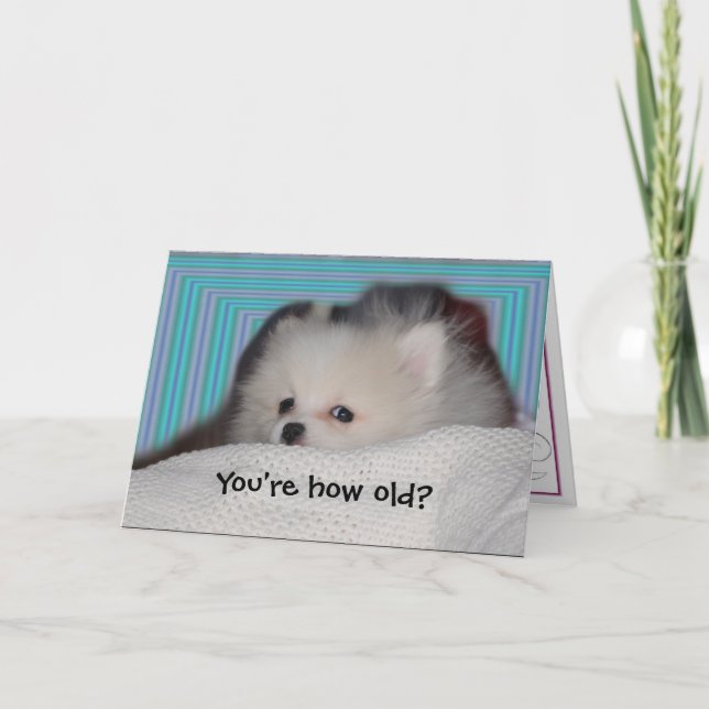 Funny Puppy Birthday Card (Front)