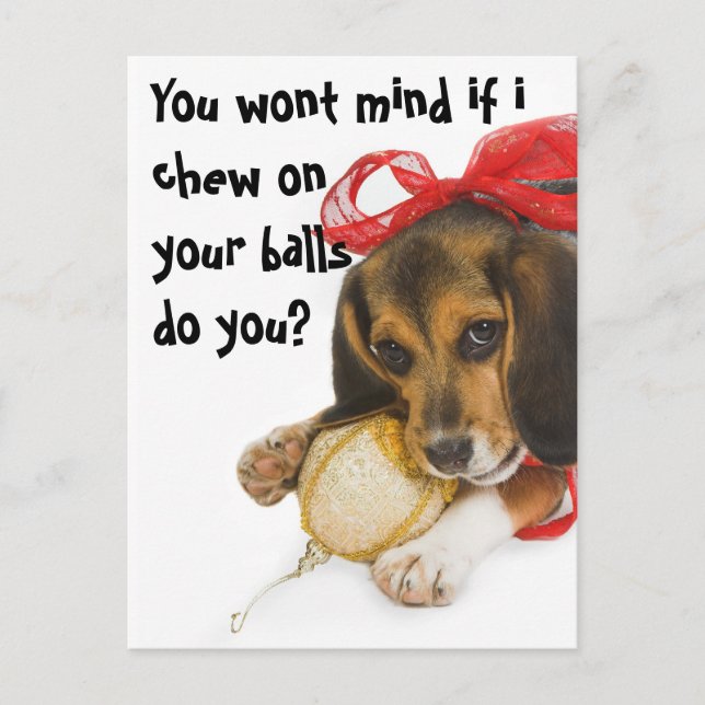 Funny Puppy Christmas, Holiday Postcard (Front)