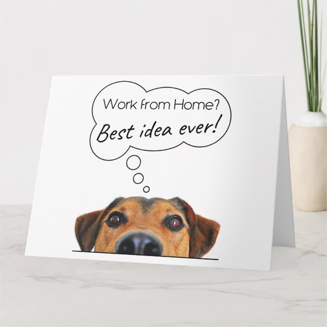 Funny Puppy Dog Humor: Work from Home? Best Idea Card (Front)