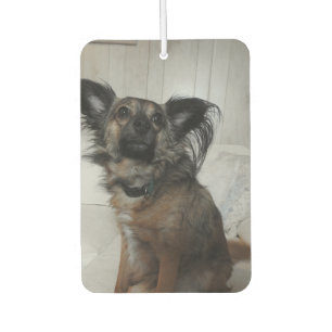 Funny Puppy Dog Pet Photo Personalized Air Freshener