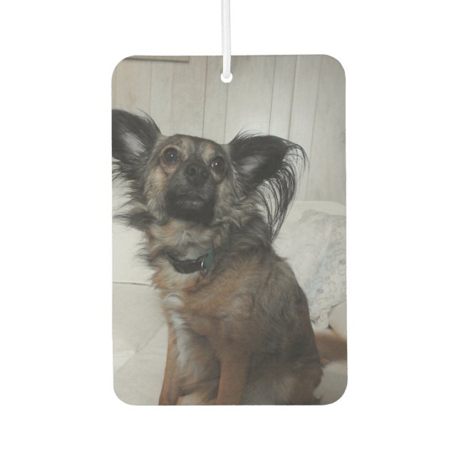Funny Puppy Dog Pet Photo Personalized Air Freshener (Front)
