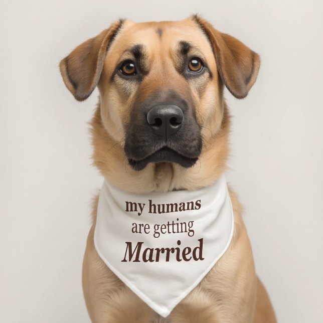 Funny Puppy Dog Wedding Pet Bandana Collar (Dog 2)