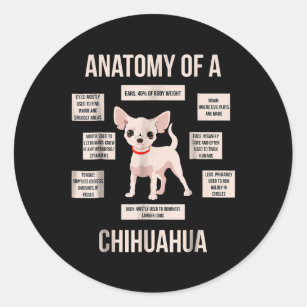 Funny Puppy Gift Anatomy Of A Chihuahua  Classic Round Sticker