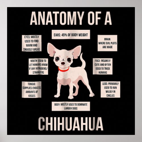 Funny Puppy Gift Anatomy Of A Chihuahua  Poster