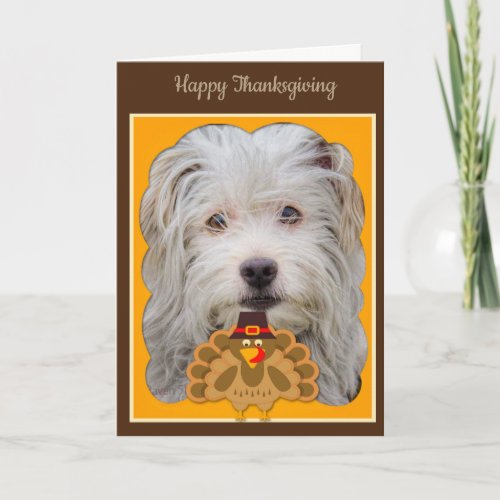 Funny puppy Thanksgiving greeting card