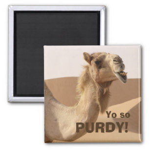 Funny Purdy Camel Photo Magnet