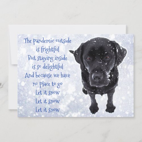 Funny Quarantine Christmas Dog Covid Pandemic Holiday Card