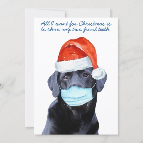 Funny Quarantine Face Mask Covid Dog Holiday Card