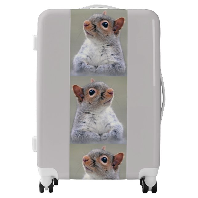 Funny Quirky Squirrels Luggage (Front)