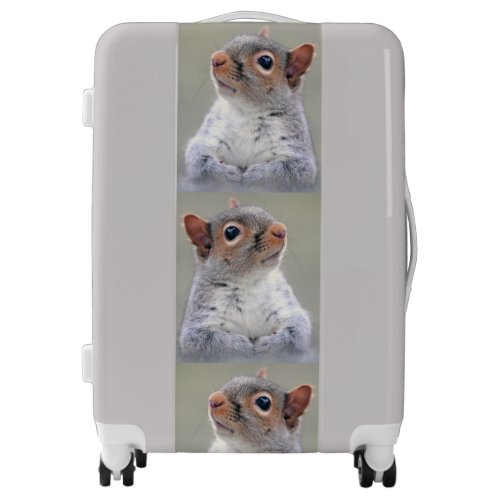 Funny Quirky Squirrels Luggage